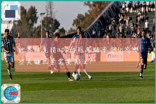 世界杯竞猜app的冠军赔率变化有哪些关键因素需要关注？