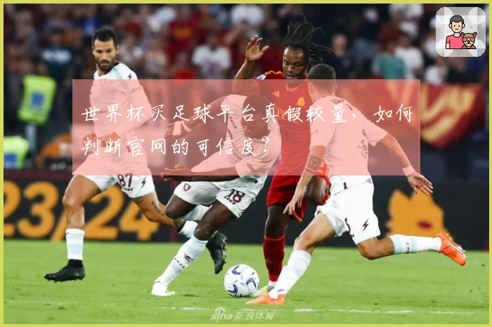 世界杯买足球平台真假较量，如何判断官网的可信度？