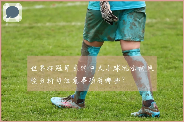世界杯冠军竞猜中大小球玩法的风险分析与注意事项有哪些？