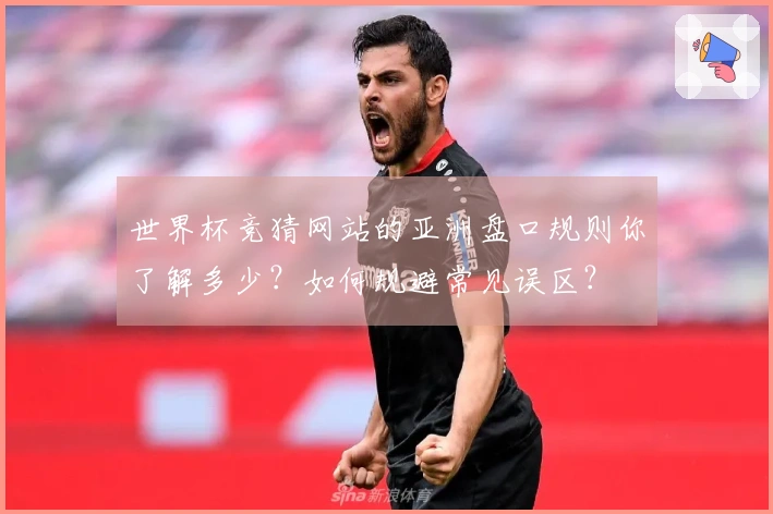 世界杯竞猜网站的亚洲盘口规则你了解多少？如何规避常见误区？
