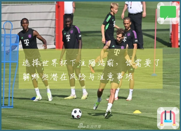 选择世界杯下注网站前，你需要了解哪些潜在风险与注意事项