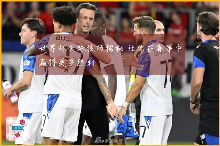 世界杯买球技巧揭秘 让你在赛事中赢得更多胜利