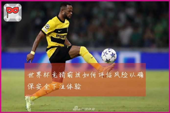 世界杯竞猜前该如何评估风险以确保安全下注体验