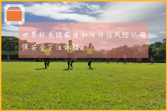 世界杯竞猜前该如何评估风险以确保安全下注体验