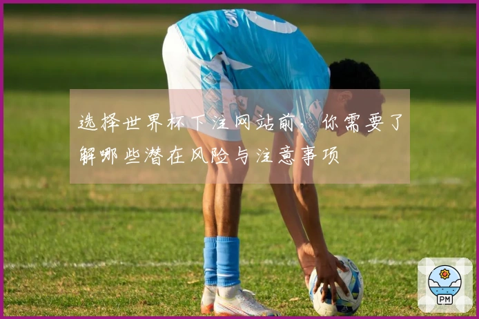 选择世界杯下注网站前，你需要了解哪些潜在风险与注意事项