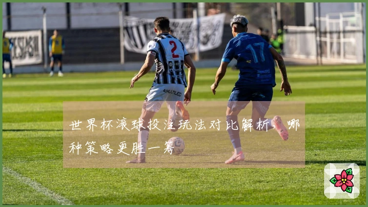 世界杯滚球投注玩法对比解析，哪种策略更胜一筹