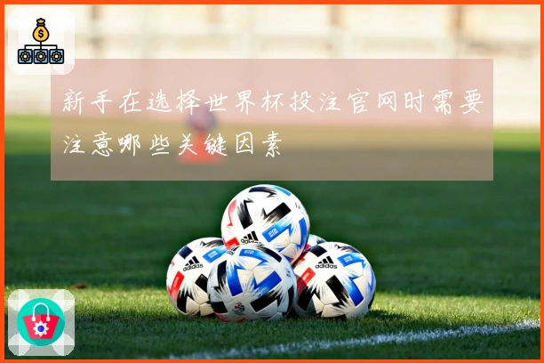 新手在选择世界杯投注官网时需要注意哪些关键因素