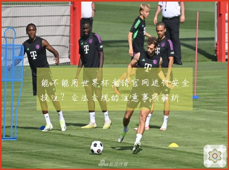 能不能用世界杯竞猜官网进行安全投注？合法合规的注意事项解析