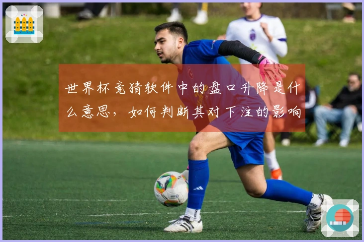 世界杯竞猜软件中的盘口升降是什么意思，如何判断其对下注的影响？