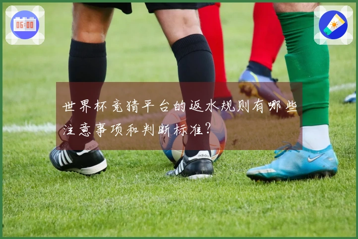 世界杯竞猜平台的返水规则有哪些注意事项和判断标准？