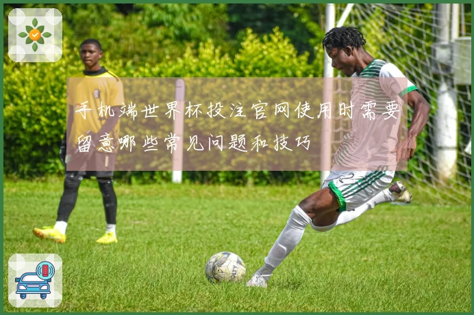 手机端世界杯投注官网使用时需要留意哪些常见问题和技巧