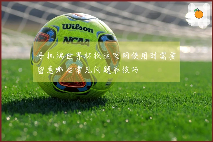 手机端世界杯投注官网使用时需要留意哪些常见问题和技巧