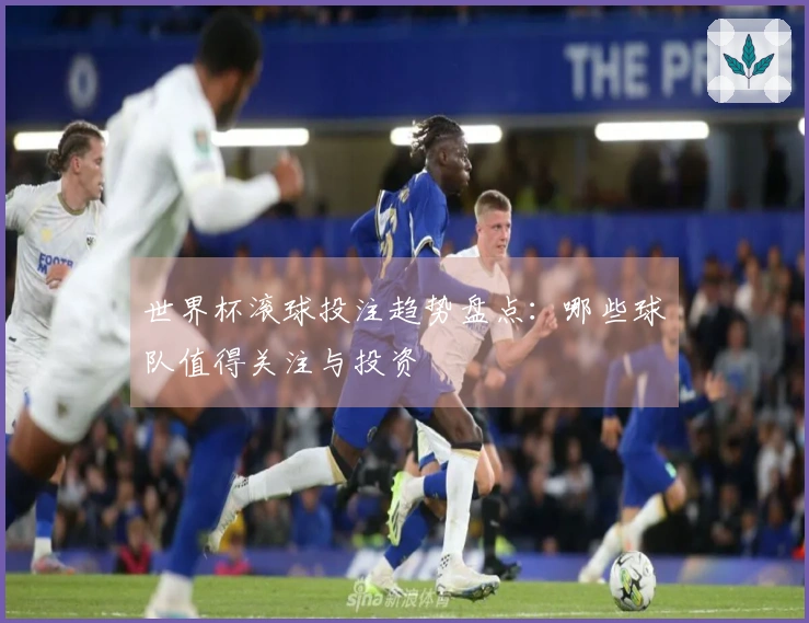 世界杯滚球投注趋势盘点：哪些球队值得关注与投资
