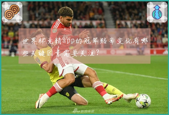 世界杯竞猜app的冠军赔率变化有哪些关键因素需要关注？