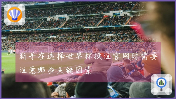 新手在选择世界杯投注官网时需要注意哪些关键因素
