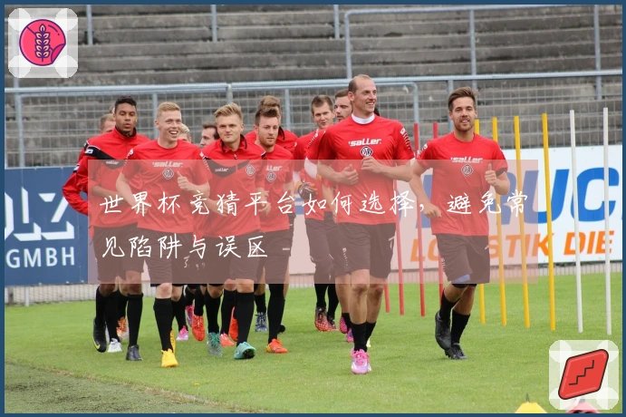 世界杯竞猜平台如何选择，避免常见陷阱与误区